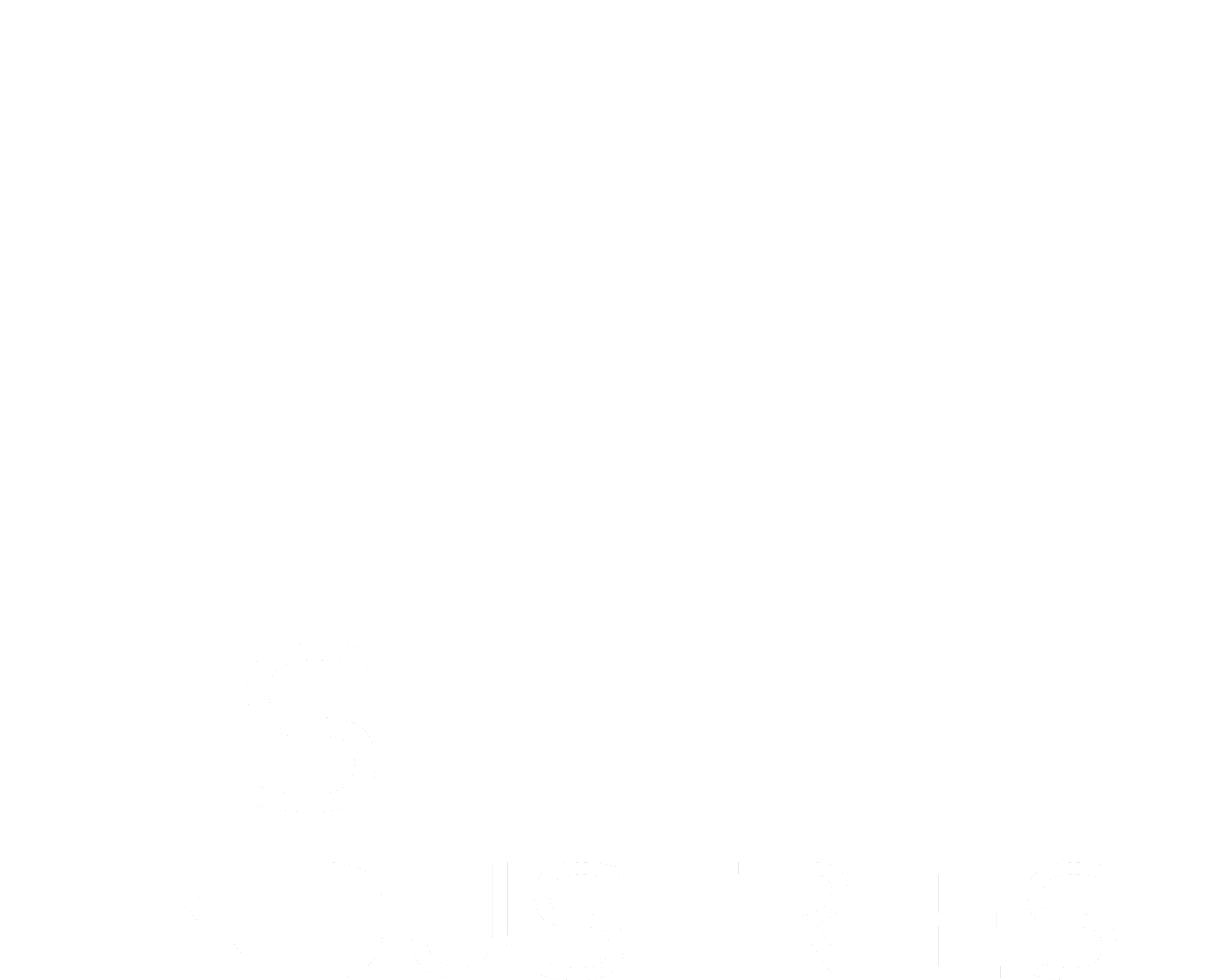 CisLunar Logo White no BG.png