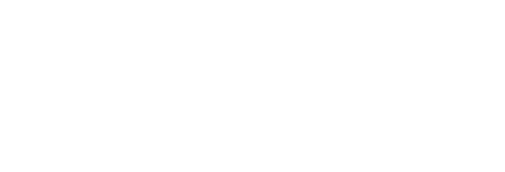 SNW Horz Logo Rev.png