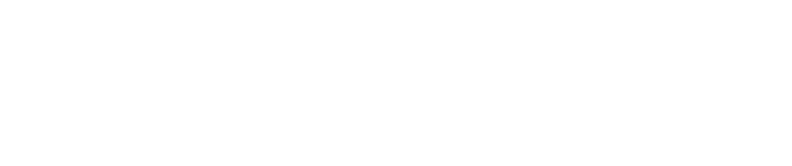 logo_StokeSpace white.png
