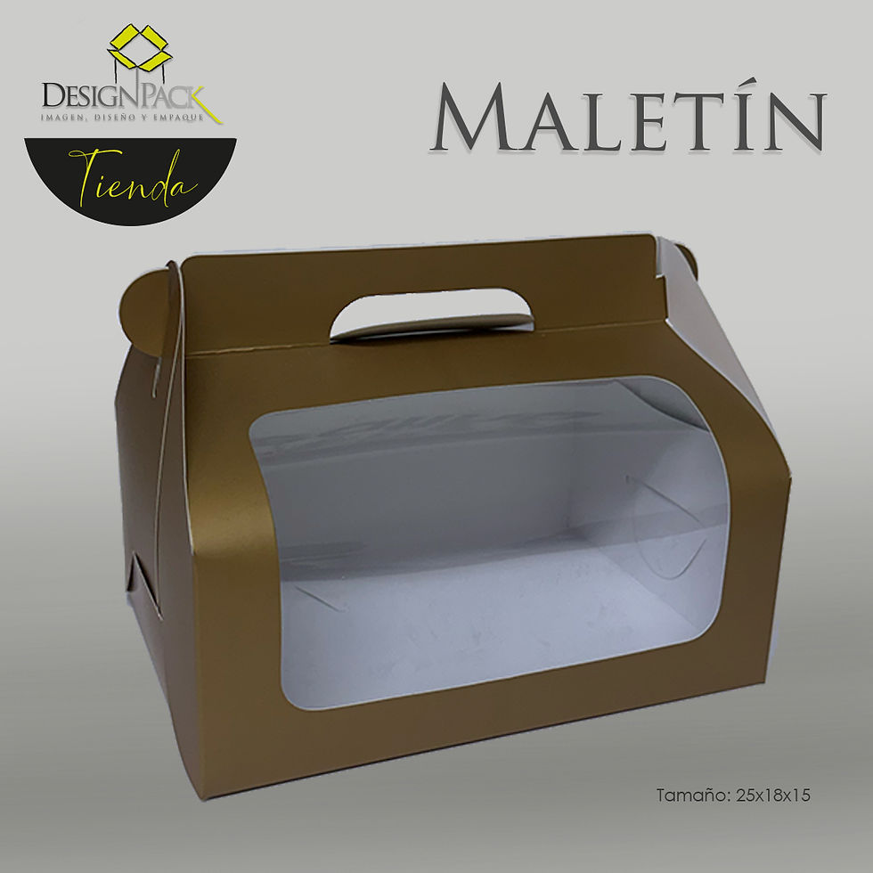 Miniatura: Maletín - 25x18x15 cms