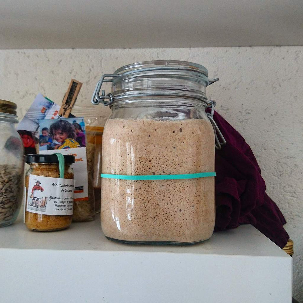 Levain naturel