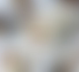 Bûche à la vanille, chocolat et Spéculoos