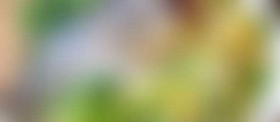 Dorade et salade de blé exotique