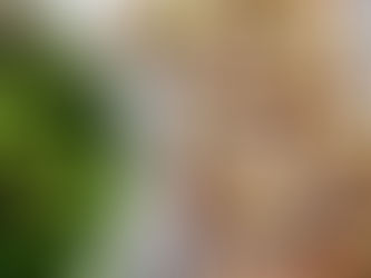 Cocktail de crevettes