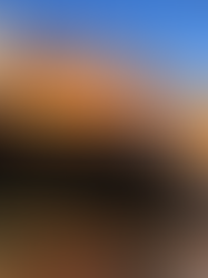 🚚 Presión logística global: saturación, costos variables y el reto de planificar en 2026