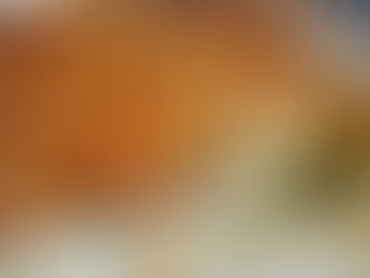 Lasagnes saumon & poireaux au citron