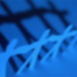 Network