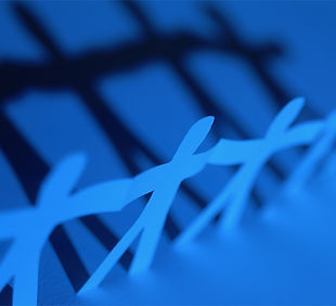 Network