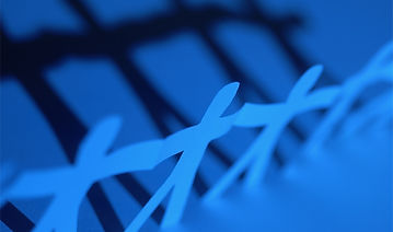 Network