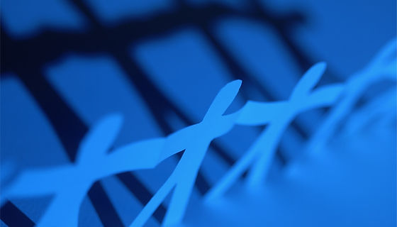 Network