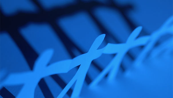 Network