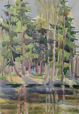 3 Ели (Шахматово), 1961, бумага акварель