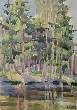 3 Ели (Шахматово), 1961, бумага акварель