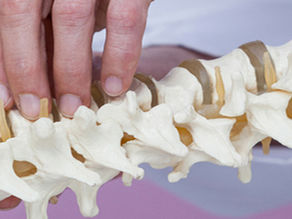 What Are The Educational Requirements For A Chiropractor in Snellville GA?