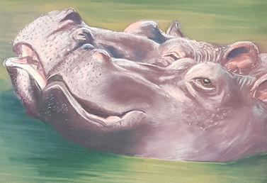 Hippo 1