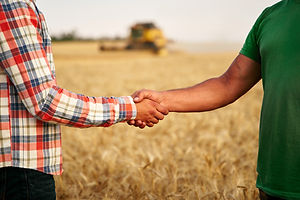 Farmer and agronomist shaking hands standing in a wheat field after agreement. Agriculture