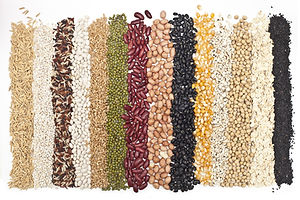 Mixture of dried lentils, peas, Grains, beans background..jpg