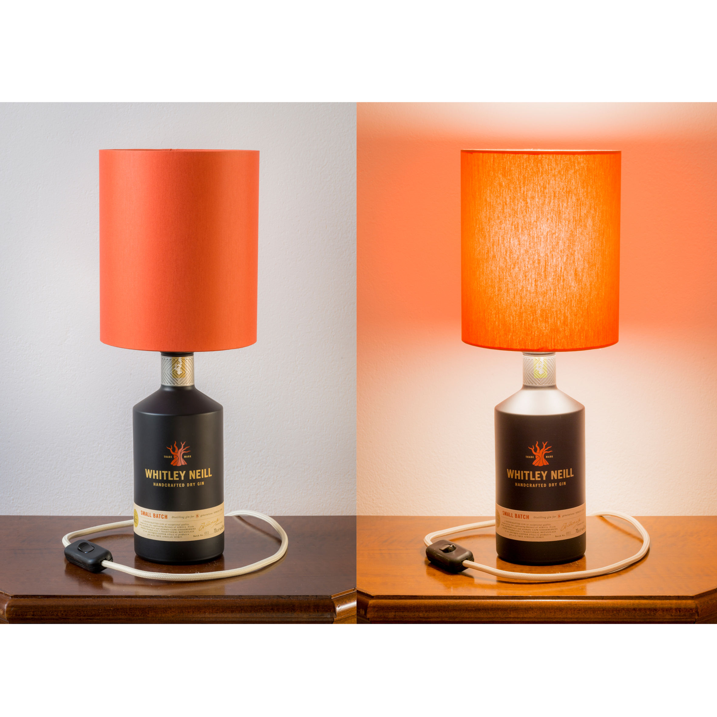 Whitley Neill  - Africa