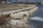 Mill Cove