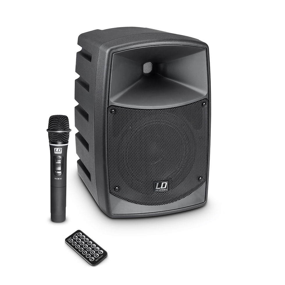 LD SYSTEMS ROADBUDDY 6