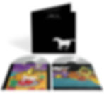 NEIL YOUNG FUCKIN'UP ( Color Vinyl )