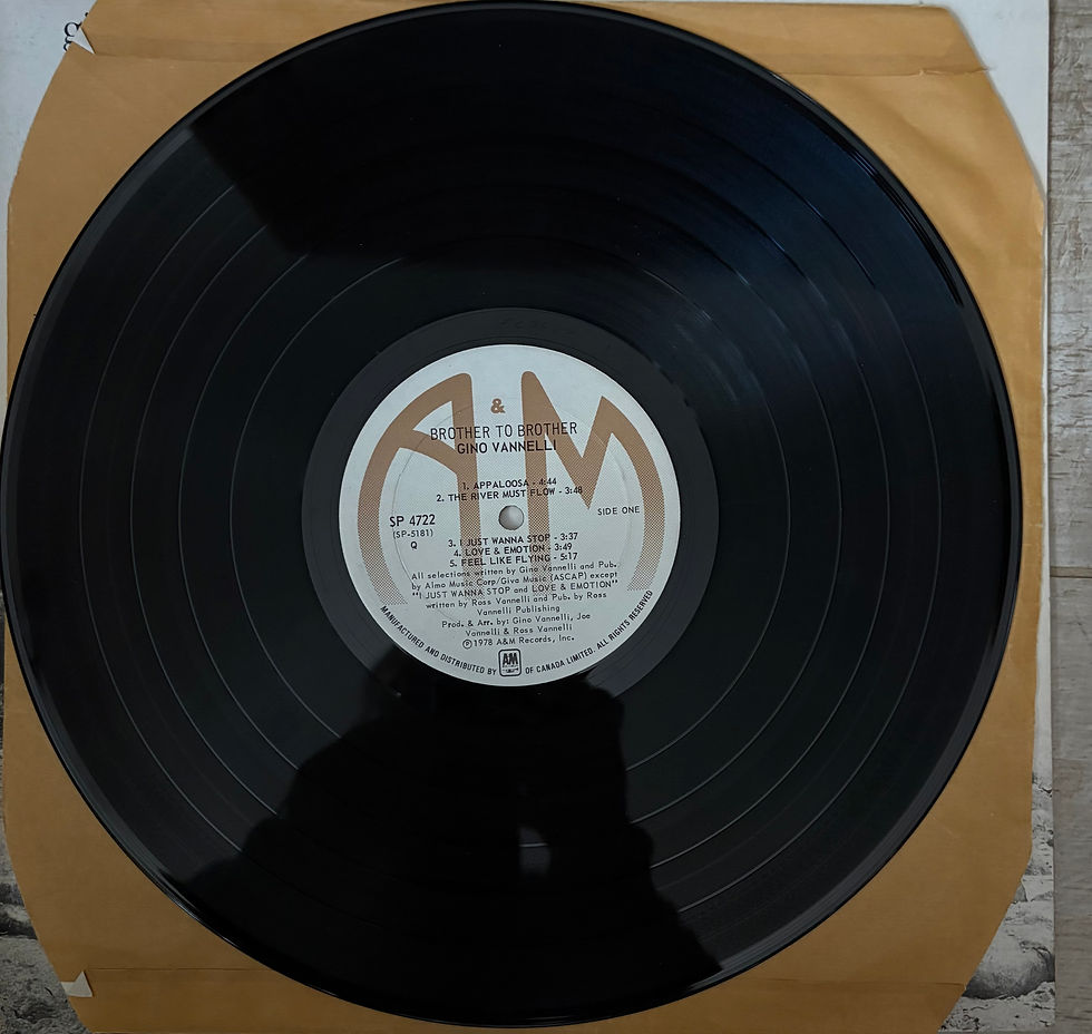 Miniature : GINO VANNELLI BROTHER TO BROTHER