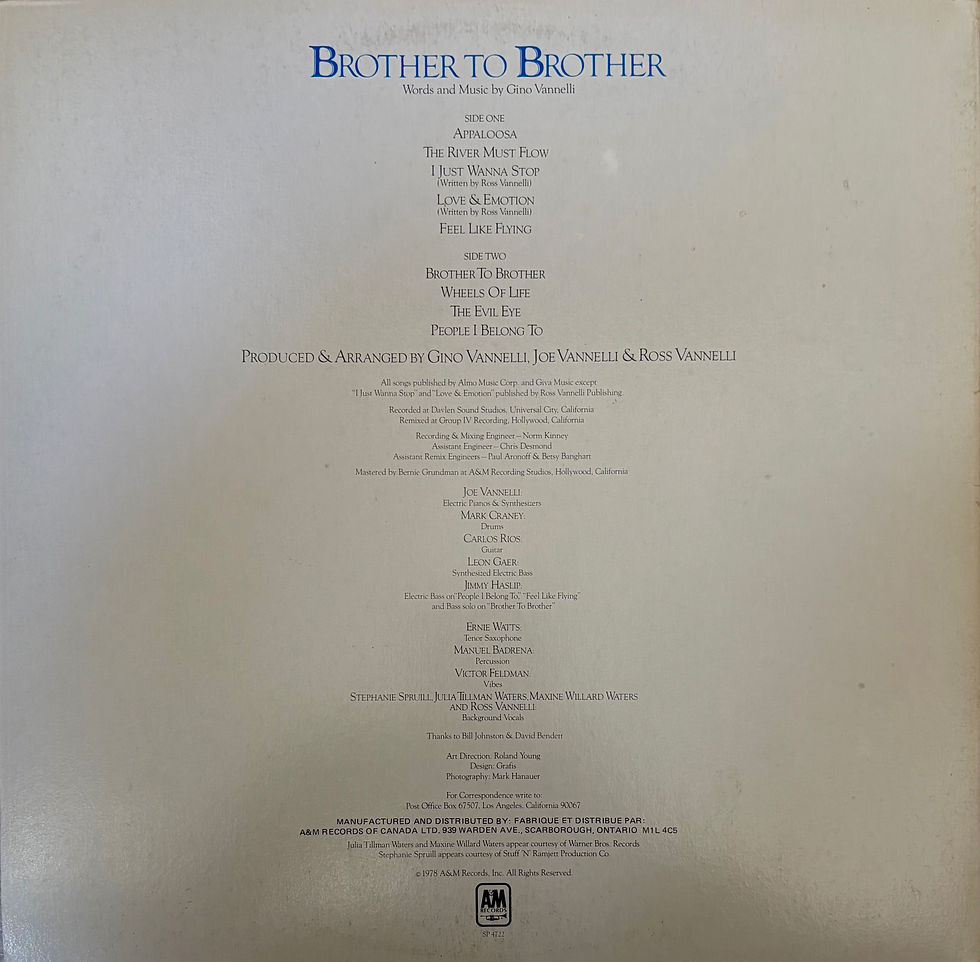 GINO VANNELLI BROTHER TO BROTHER