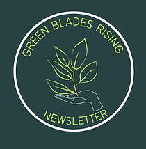 GREEN BLADES RISING NEWSLETTER