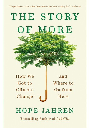 The Story of More