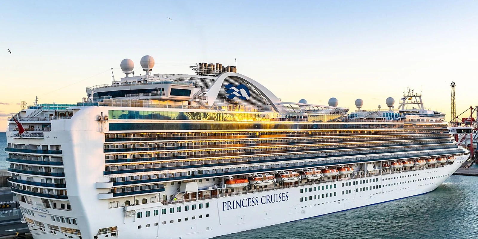 Princess Cruises cruise ship at sea
