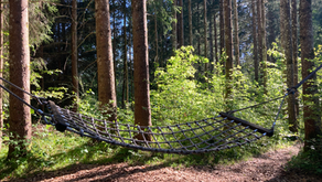 Praxisurlaub 9. - 20. Juni 2025