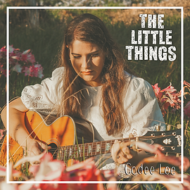 The Little THings CD Cover (3).png