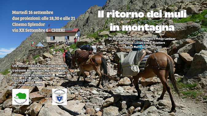 muli in montagna - Chieri.jpg