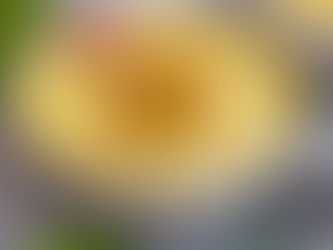Cremige Kartoffelsuppe – samtig und einfach