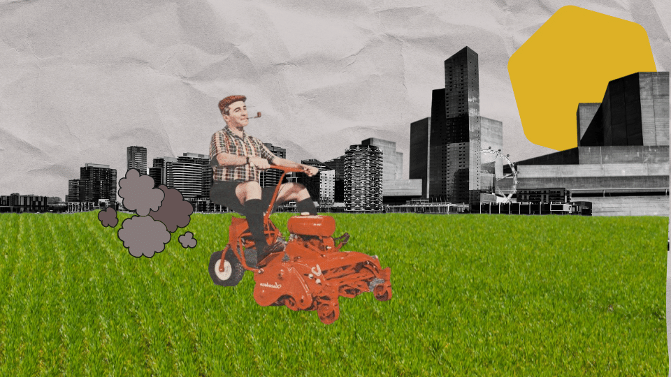 A brief history of grass