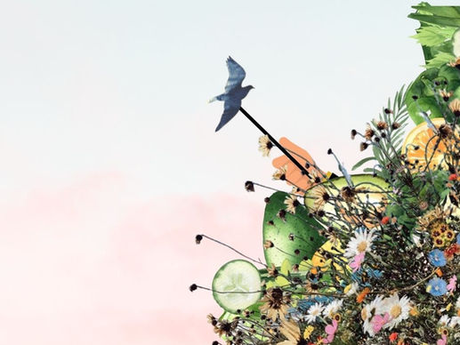 Does agriculture belong in cities?