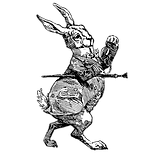 Rabbit (1).png