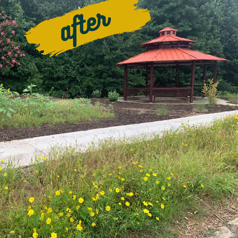 Fruitful Library gardens