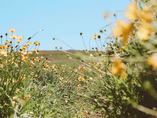 What is Old Crow Hill?