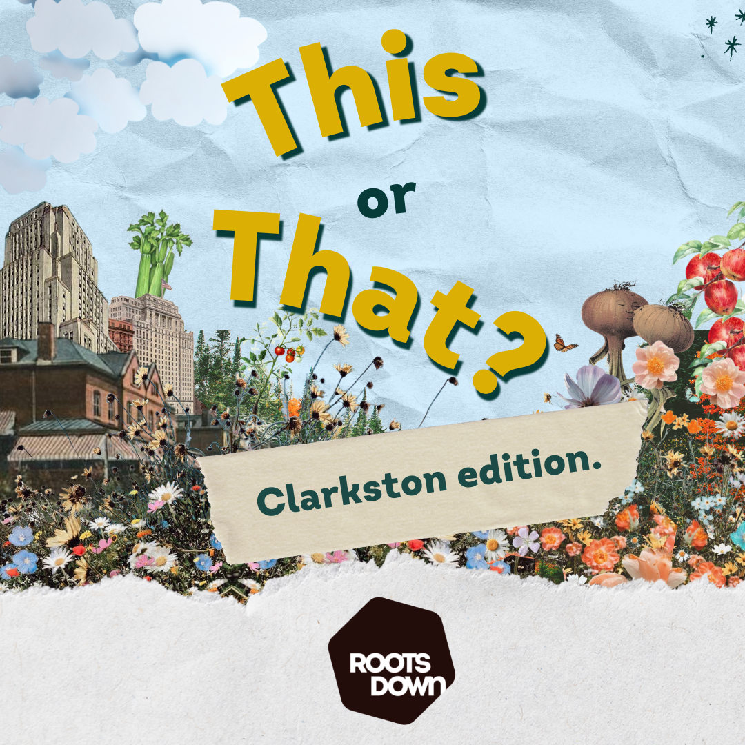 This or that? Clarkston edition. content media