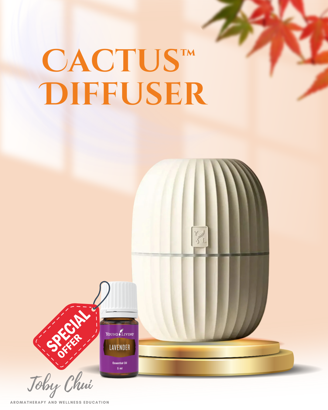 Cactus™ Diffuser