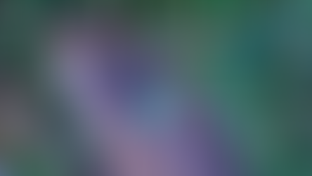 Mediumship Experiences Continued