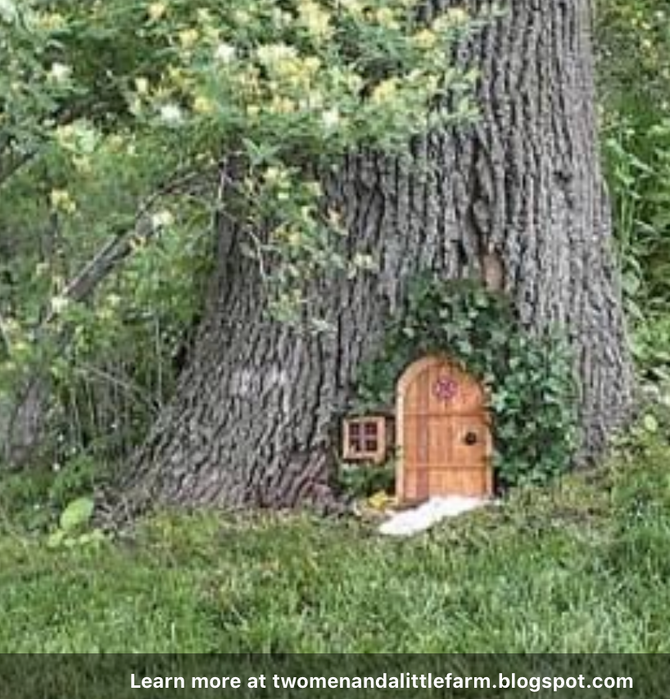 Working with Elemental Kingdom Experiences