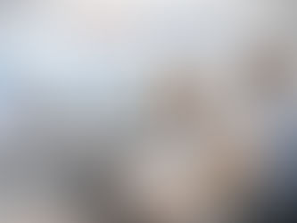 Is Speed the Key Factor in Choosing a Printer?