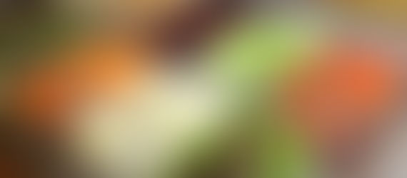 Vega suli az USA-ban