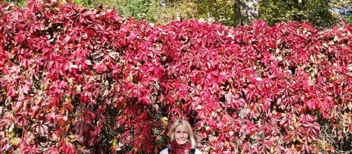 Milyen jógaoktatónak lenni?