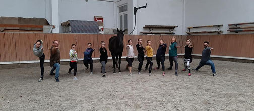 Akrobatika lovakon vagy jóga lovakkal?