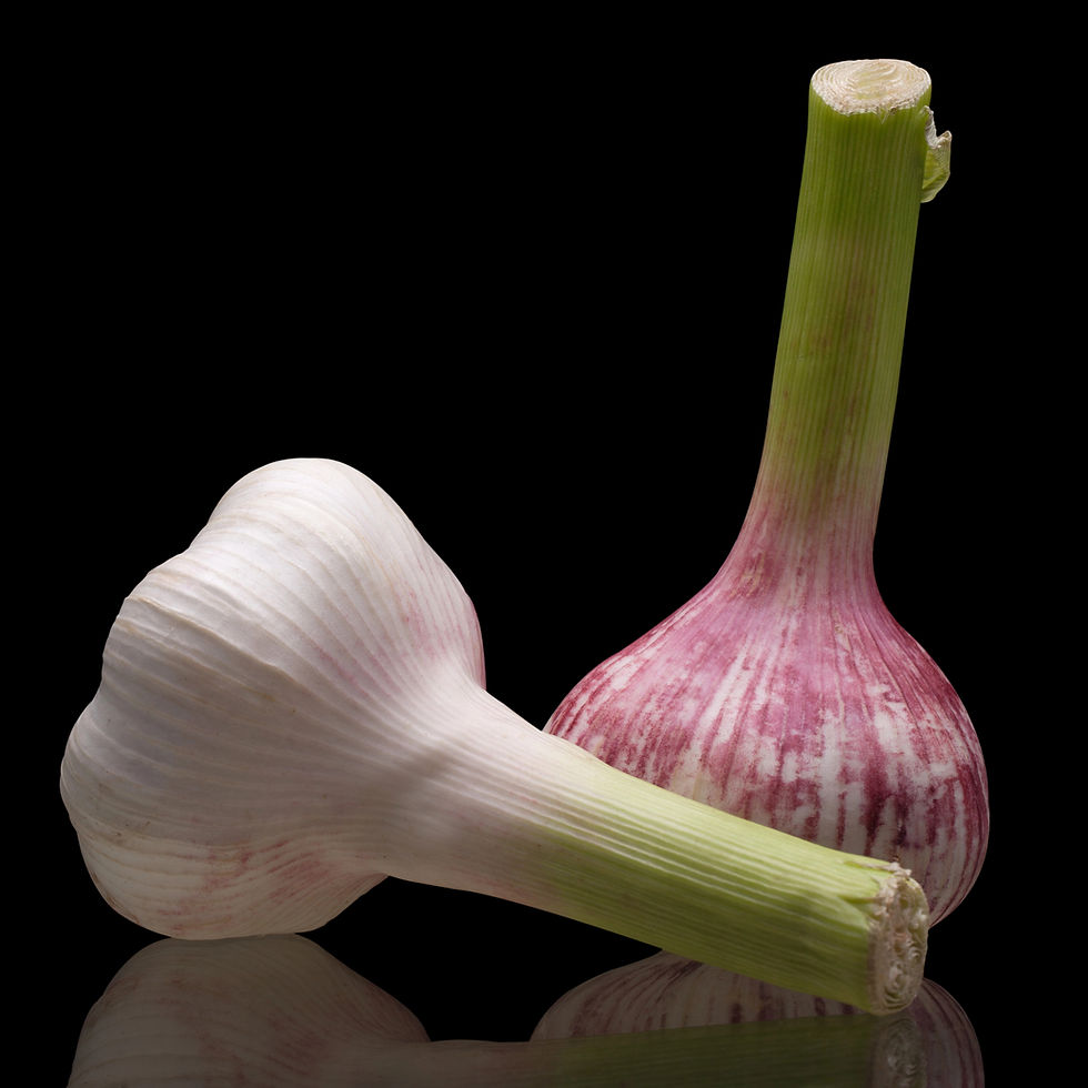 Fresh Young Garlic Bulbs with Stalks – Mild and Sweet in Flavor