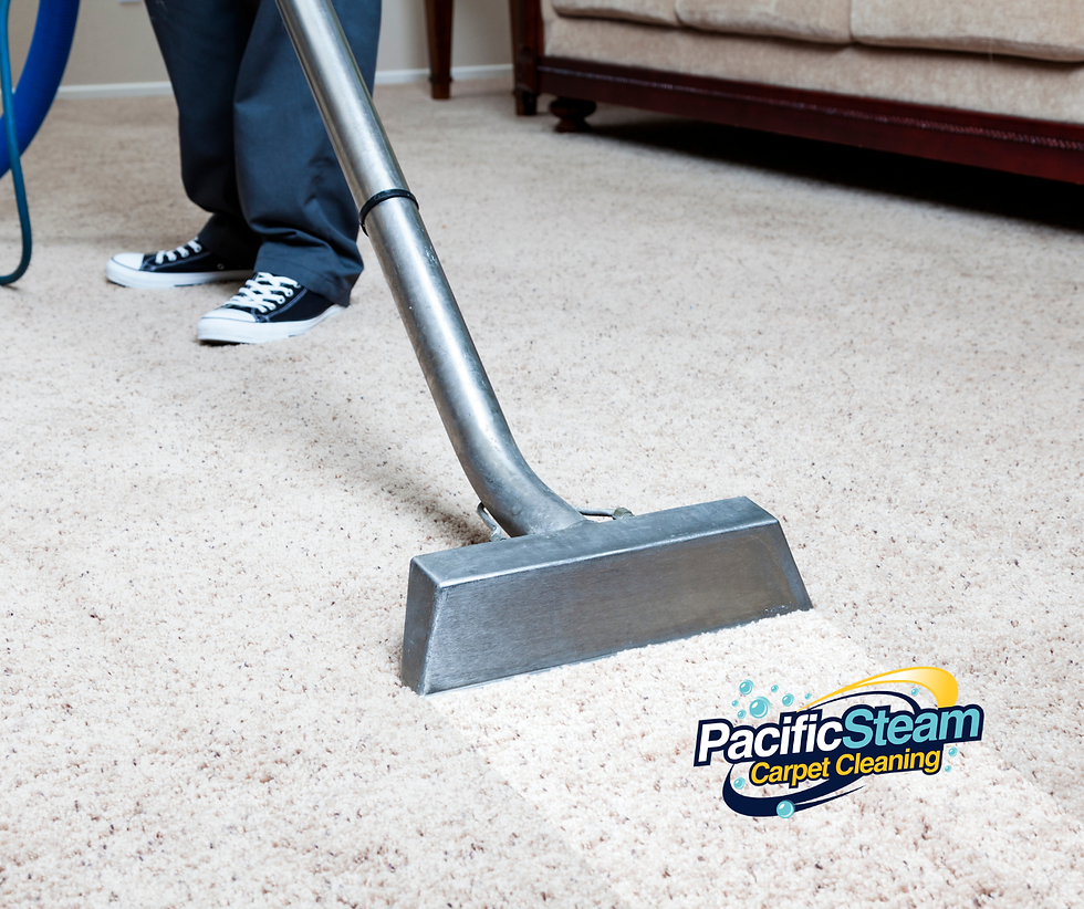 Close-up view of eco-friendly carpet cleaning equipment in use