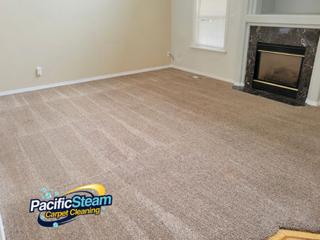 Pacific Steam Carpet Cleaning - Living Room Carpet